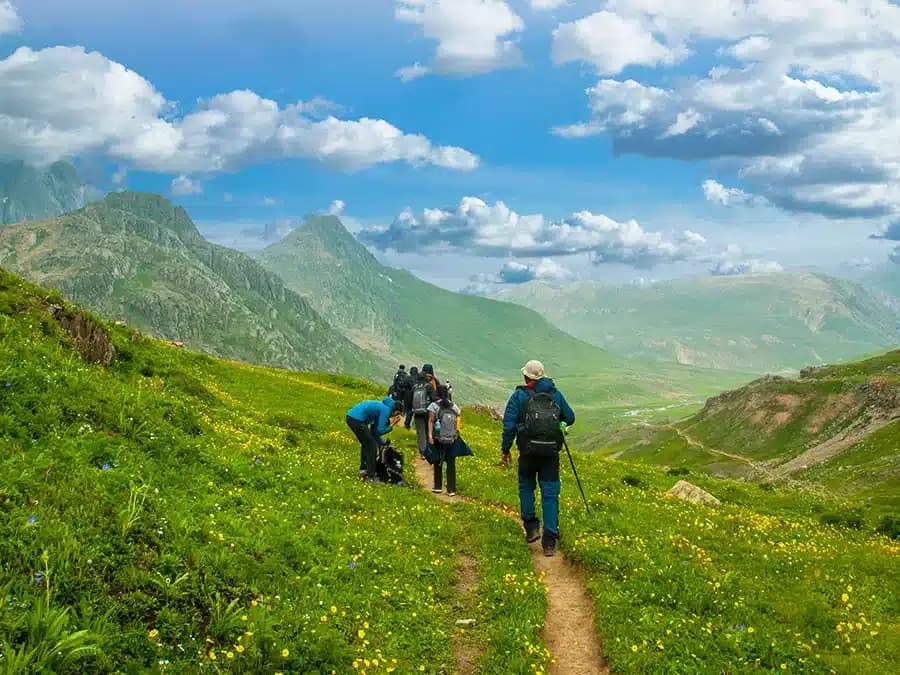 Shikara boats gliding across Dal Lake at golden hour, Srinagar