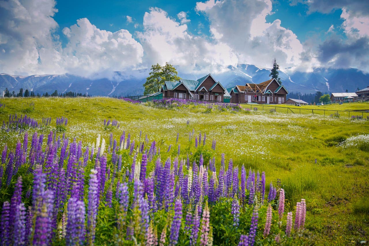 Kashmir Backdrop