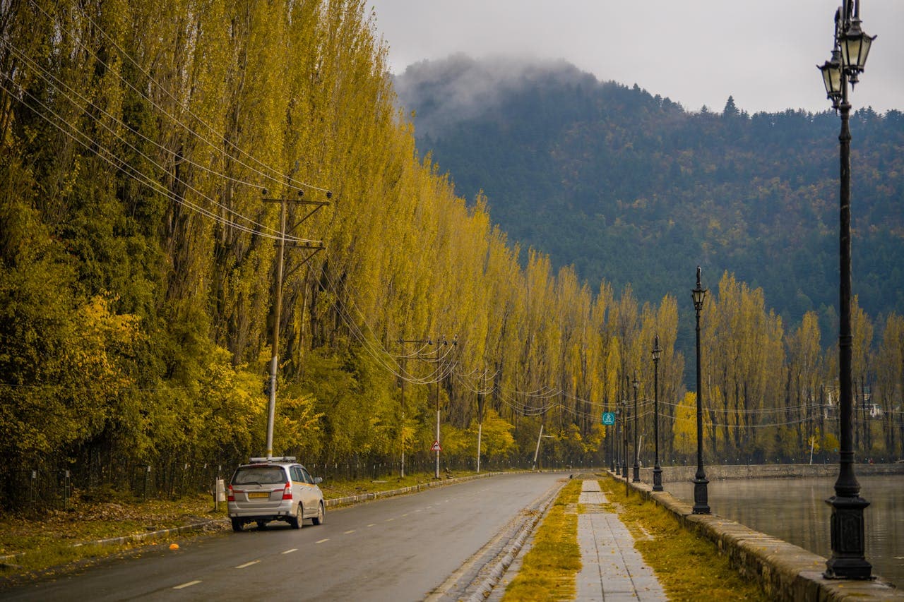 Kashmir Backdrop
