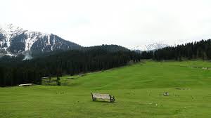 Doodhpathri