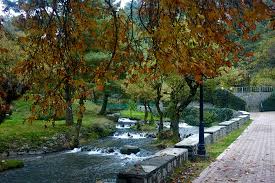 kokernag